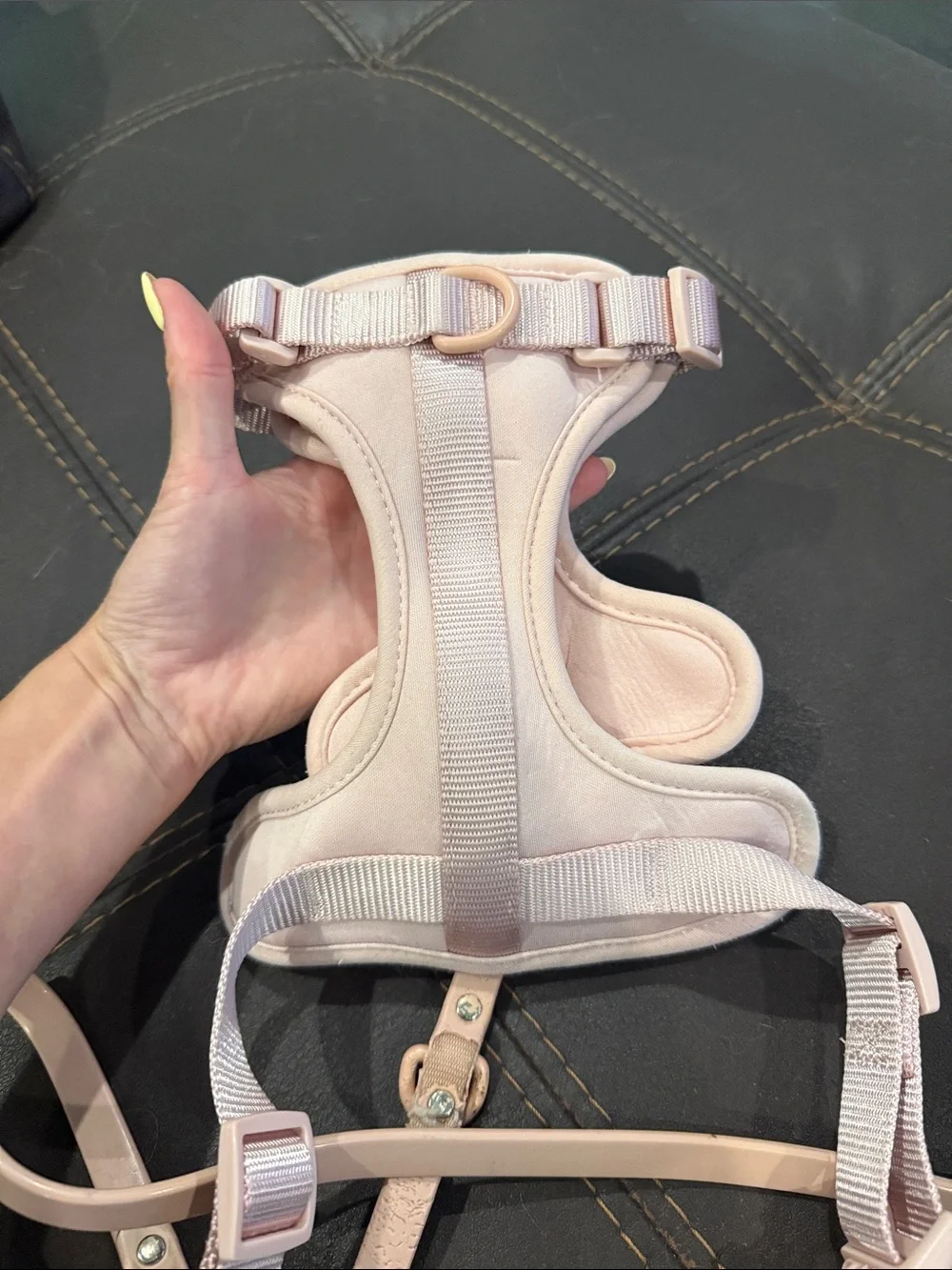 Wild One Pink Small Dog Harness, Leash, and Poop bag holder